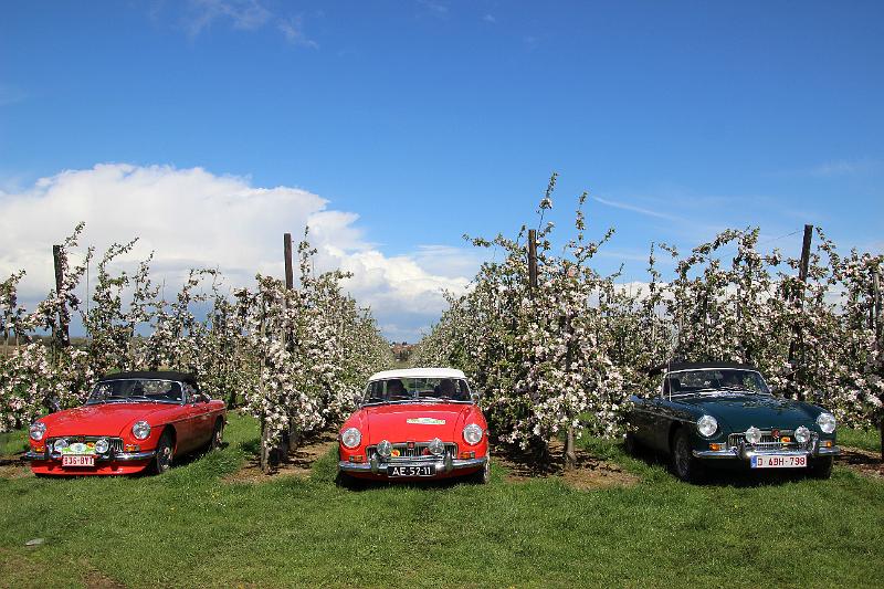 MG Bloesemrit op 24-4-2016 org. Jos&Marie-lou  (200).JPG